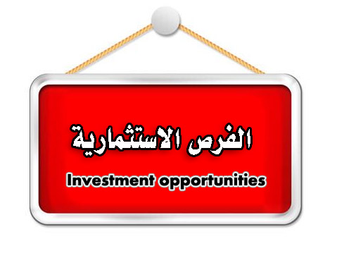 الفرص الاستثمارية Investment opportunities