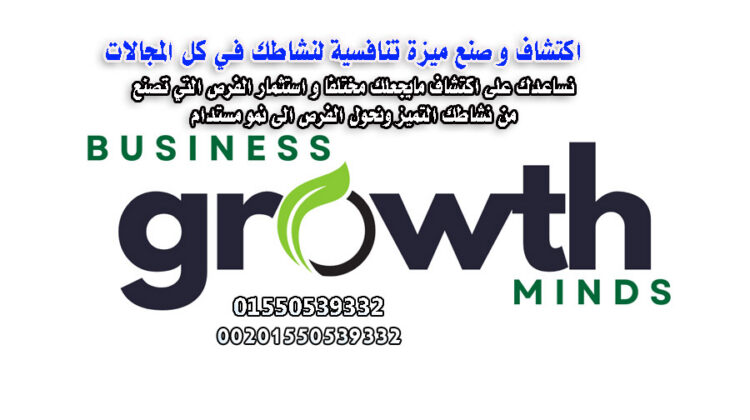 ازدهار المؤسسات ونجاحها في بيئة الأعمال