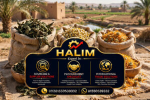 Sourcing Agent Egyptian Herbs Spices Basil Chamomile Calendula
